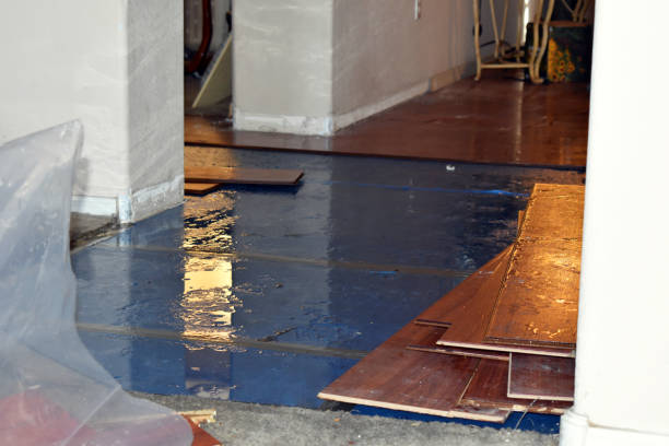 Professional Water Damage Restoration technician working in Canyon, MN